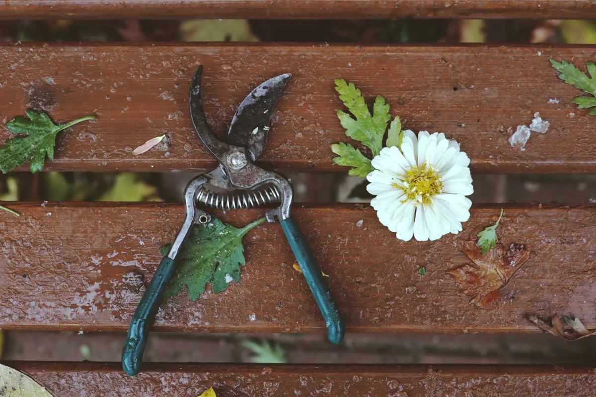 10 Garden Tasks to Simplify Your Autumn and Slow Down