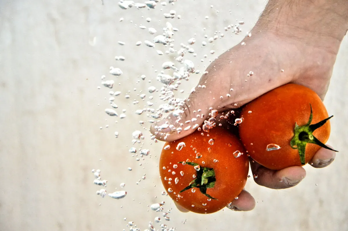 Common Mistakes When Watering Tomato Plants (and How to Fix Them)
