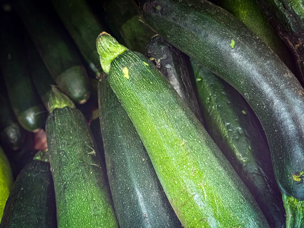 What to Do with Too Much Zucchini: 5 Easy Preservation Recipes